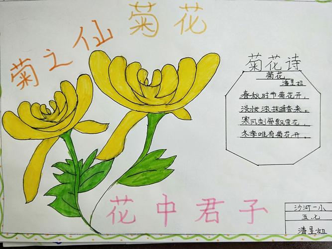 菊花梦——国学中队自创菊花诗配画