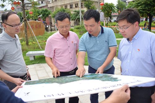 6月2日下午,开平市委常委,统战部部长陈伟成到龙胜镇调研国家卫生镇