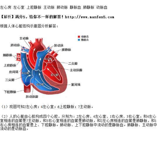 右图是人体心脏结构示意图,据图回答下列问题
