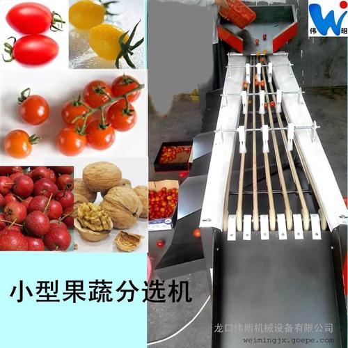 食品设备 果蔬机械 > 选果机/捡果机   多功能小西红柿分选机,圣女果