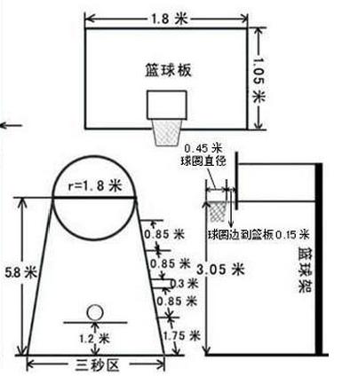 篮筐和篮板分别离地面高度是多少?