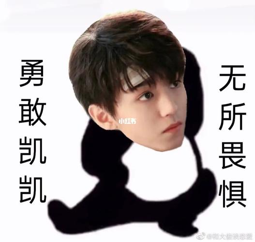 王俊凯表情包_王俊凯_表情包_王俊凯青春无畏_素材