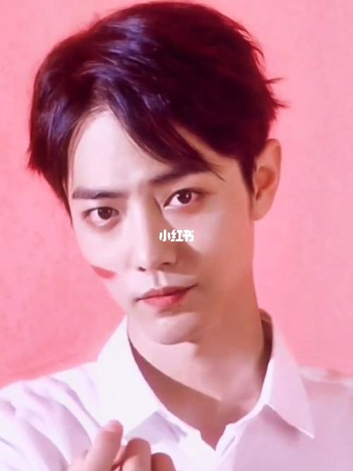 挑眉战_挑眉_肖战_娱乐_明星娱乐资讯