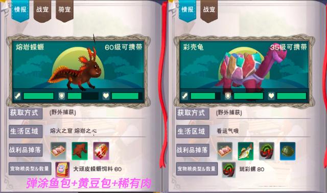 创造与魔法新奇遇动物熔岩蝾螈和彩壳龟