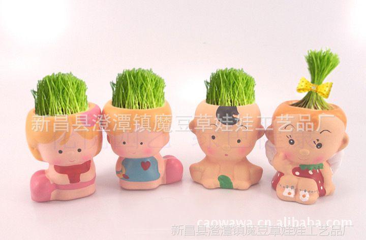 美丽天使草娃娃 情侣小礼品 办公室迷你青草种植 摆饰
