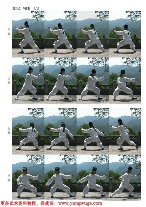 武当太极十三式正反分解动作详解单推势陈师行道长演示.pdf 11页