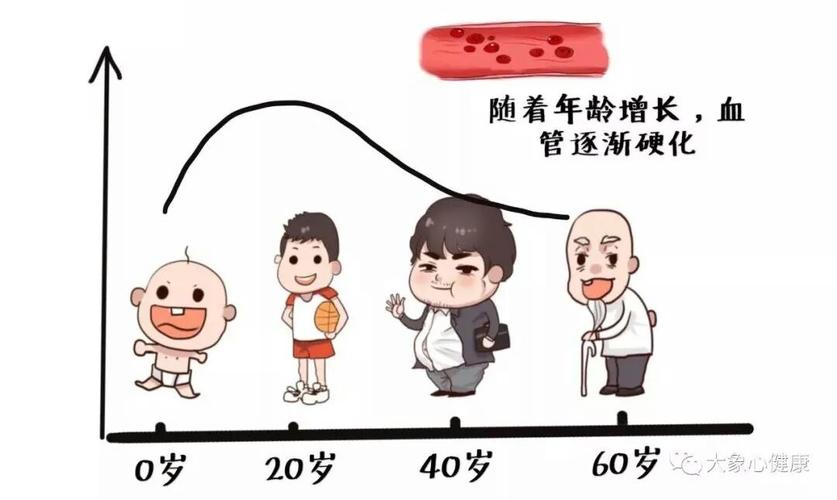 认识动脉粥样硬化?