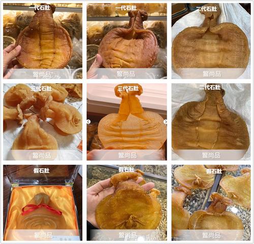 全网最全最详细的鱼胶品种大全(图解)05 - 赤嘴鳘鱼胶