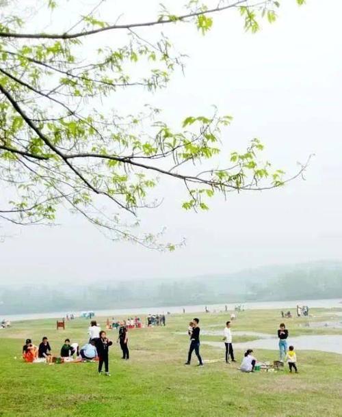 南陵塞上好风景 青弋江畔桃园滩