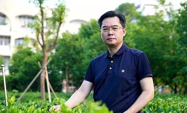风云闽商八马茶业ipo牵出500亿泉州富豪圈一片茶叶撬动10亿生意经