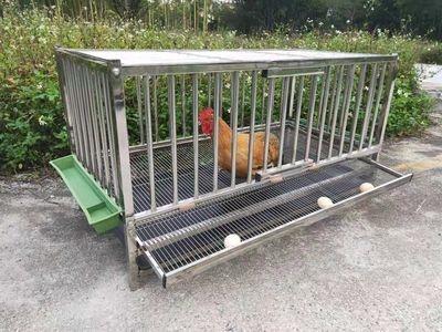 家用不锈钢蛋鸡笼自动滚蛋鸡窝 自动滚蛋不锈钢鸡笼鸡笼子 包邮