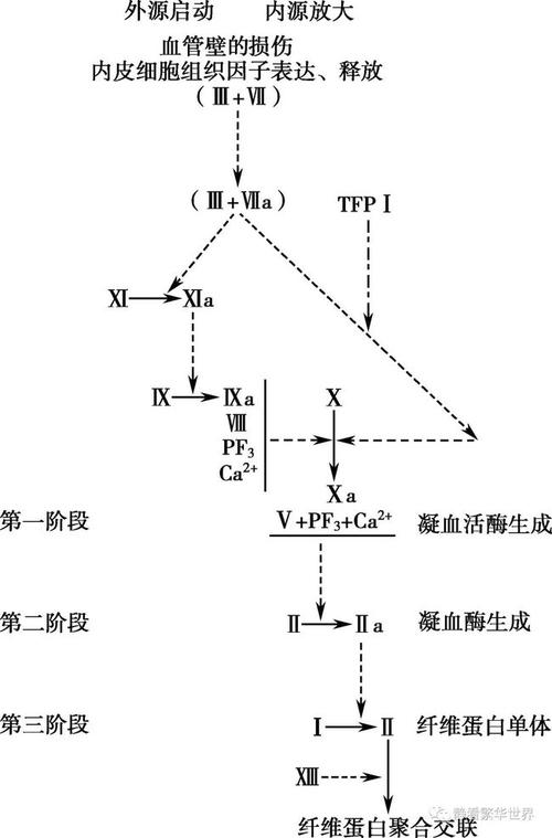 最全从凝血机制角度来理解采血管的分类及作用机制