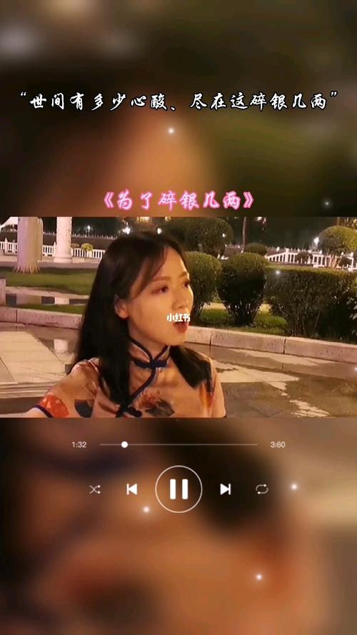 为了碎银几两_音乐_娱乐_音乐_音乐推荐
