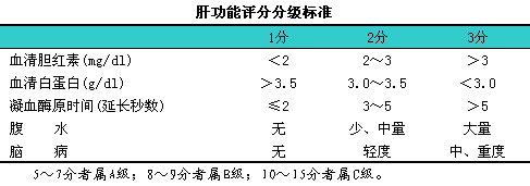 肝功能的评分分级