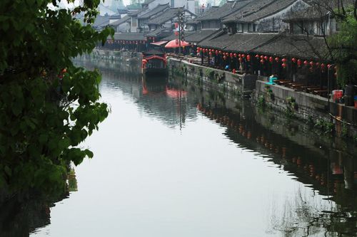 枫泾