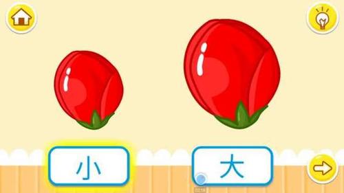 学习认识大小 物体