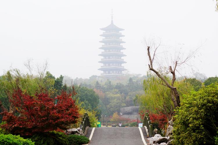 龙背山森林公园的小路给我留下美好的印象.