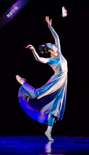 第十一届中国舞蹈荷花奖古典舞评奖第2场精彩剧照摄影舞影佳创黄凯迪