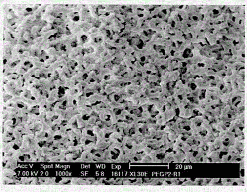 介孔/大孔复合孔结构硅胶独石的制备方法