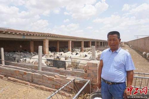 中工网 财经频道 产经 -正文      张清云在自家羊棚前,身后是养殖的