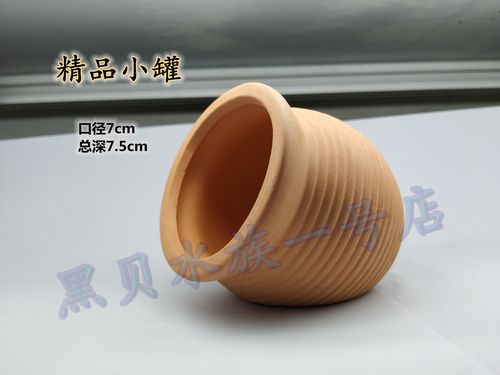 迷你鹦鹉鱼繁殖罐宝蓝七彩神仙产卵罐鳌虾造景短鲷躲避罐饲料鱼食_7折