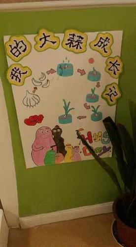 种植大蒜过程手抄报 手抄报模板大全