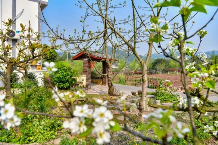 那你一定要在荷田间的原乡藕寓住上一晚,从铜梁荷和原乡景区入口,沿着
