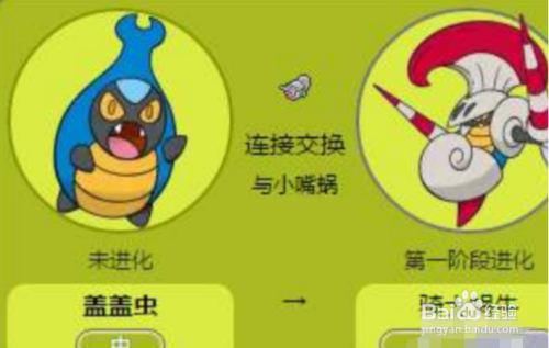 盖盖虫怎么进化