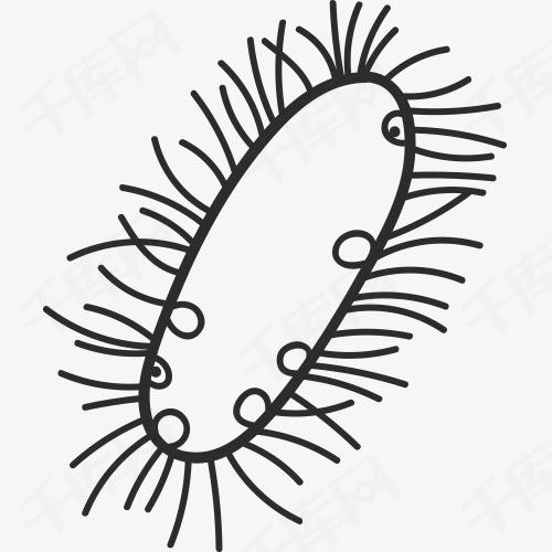 癌症细胞简笔画