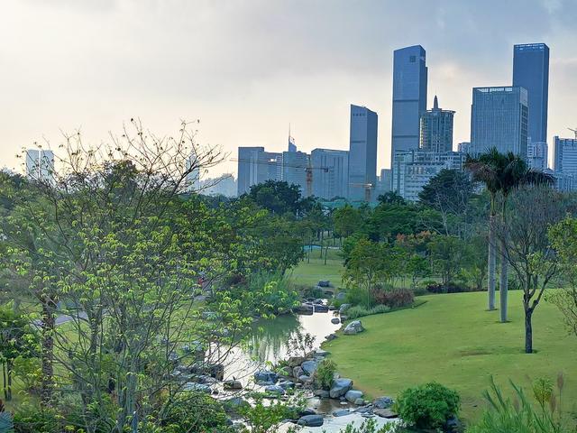 深圳最美景观公园推荐:香蜜公园,位于市中心,有树顶