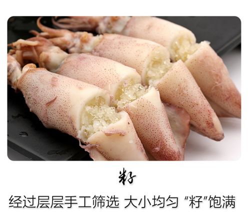 满籽籽乌全籽笔管八爪鱼小鱿鱼墨鱼仔海兔鲜活新鲜海兔子海鲜水产_7折