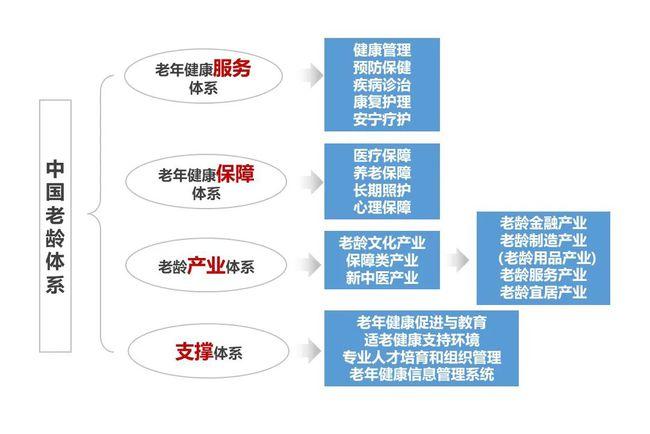 供给与需求失调,老年人力资源利用率较低,以及缺乏系统政策和保障机制