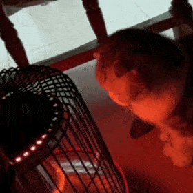 猫猫狗勾表情包太冷了替我上下厕所