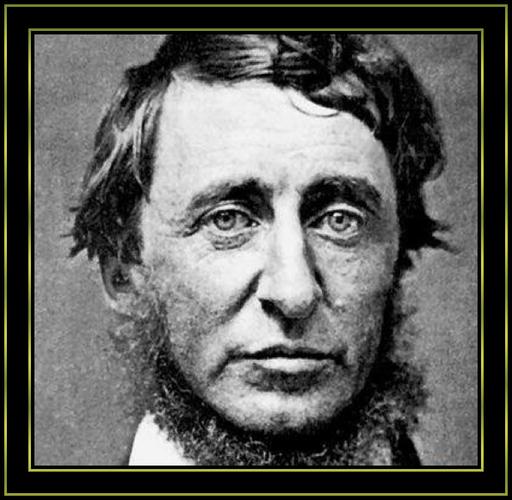 thoreau:"soul grows more by subtraction than by additi on"