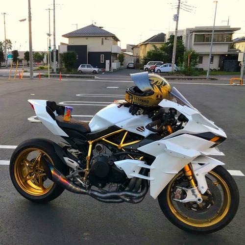 进口雅马哈r1摩托车r6机车上牌地平线川崎h2r宝马春风sr跑车nk150