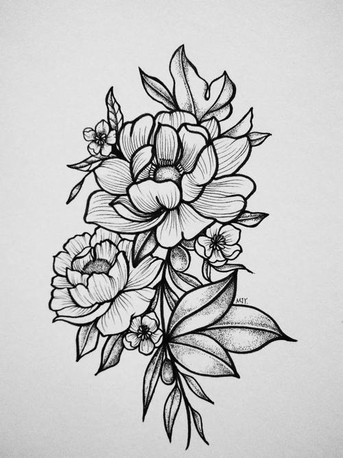 线描素材一支笔可以完成的花卉装饰画