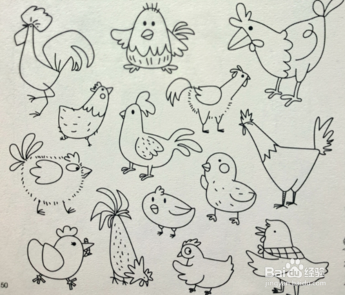 每日简笔画——小鸡和鸭子