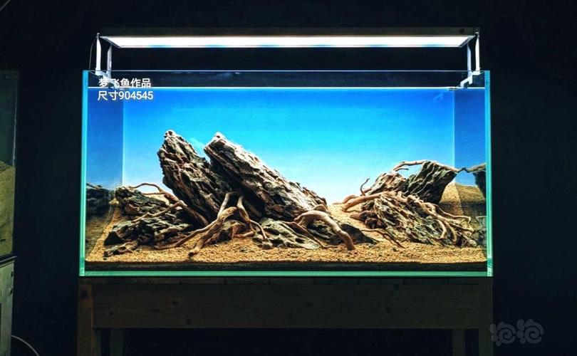 松皮石草缸作品