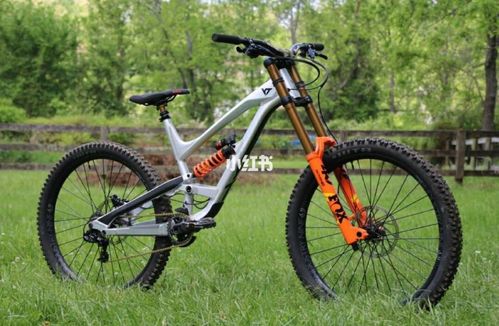 yt capra_山地车_enduro山地车_运动健身_运动