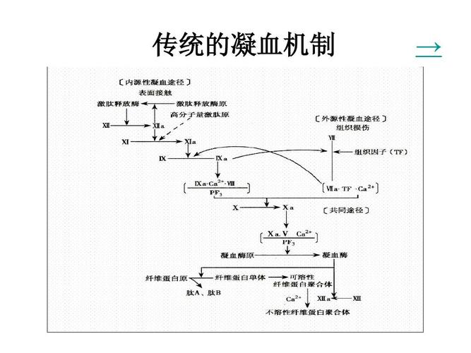 凝血机制与抗凝治疗新观念ppt