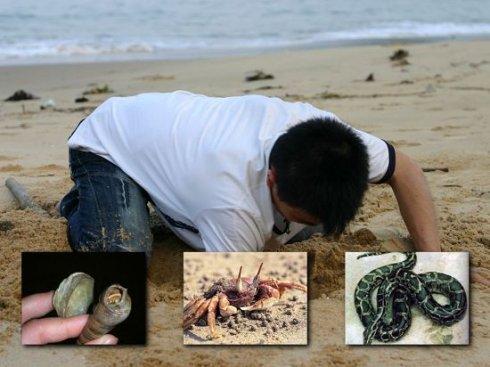 海滩捉蟹情.童真与美味的完美结合.
