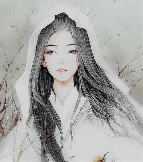 十二星座专属的古风美人画像处女座双眸如雪天秤座美翻了
