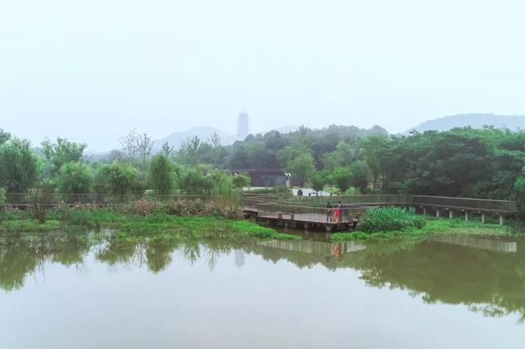 在季节变迁中赏尽江宁风景