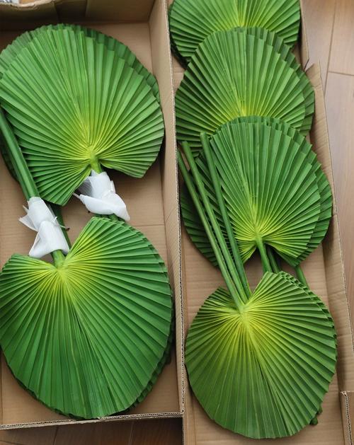 森系婚礼路引仿真花芭蕉叶扇子棕榈叶仿真植物插花配叶葵叶浦叶绿