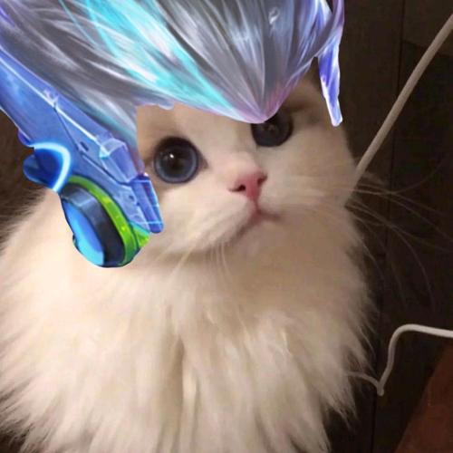 你们的狄仁杰喵头像来了