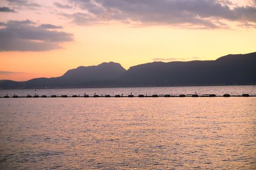 水杉林里划船,滇池湖畔欣赏睡美人,海洪湿地风景真美!