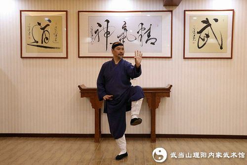 田理阳道长示范武当内家十三桩——三体式
