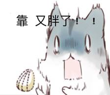 惊讶 可爱 仓鼠 萌 表情包 长胖 懵逼 搞笑 搞怪 特别 表情 仓鼠表情
