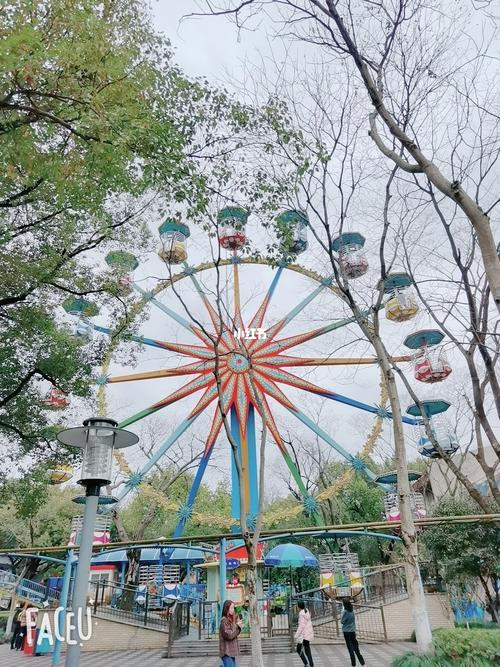 杭州少年宫游乐园_景点_游乐园_出行_人文风光展示