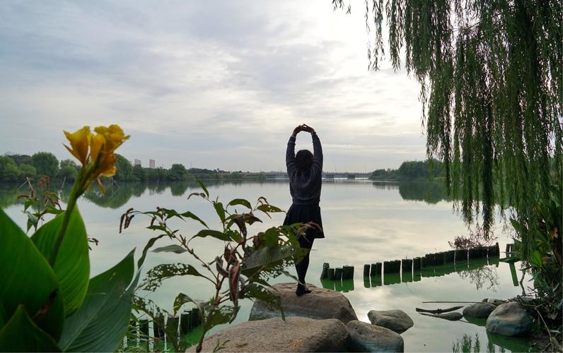 游玩宛山荡湿地公园